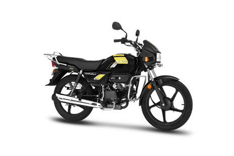 Black With Greenish Yellow
