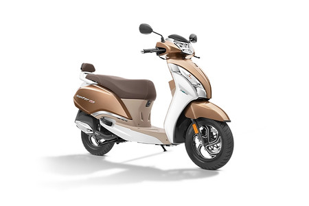  Ivory Brown