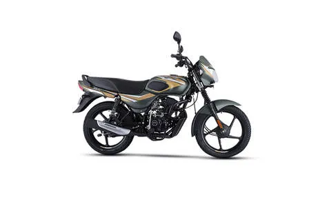 Matte Olive Green With Yellow