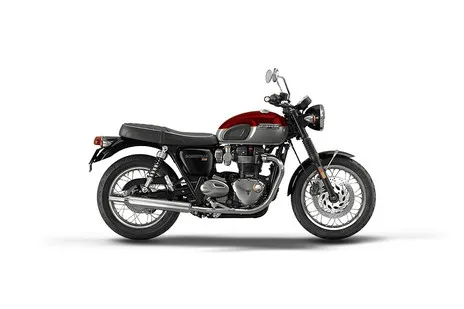 Cordovan Red and Silver Ice