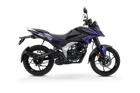 Ebony Black - Purple Fury