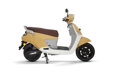 Pearl White and Caramel Brown