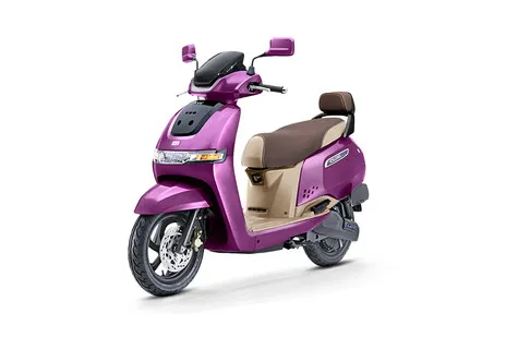 Magnifecence Purple Beige