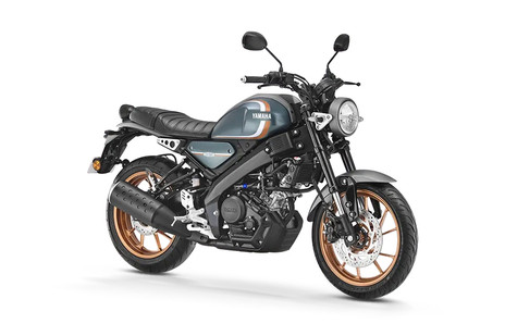 Greyish Green Metallic