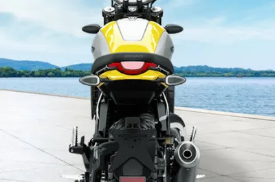 Scrambler 800 Indicator (Rear)