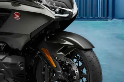 Gold Wing Front Mudguard & Suspension