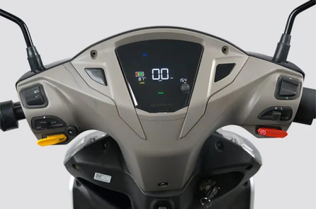 Magnus G Max Instrument Cluster