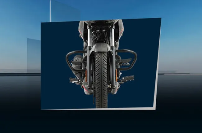 Pulsar 150 Leg Guard View