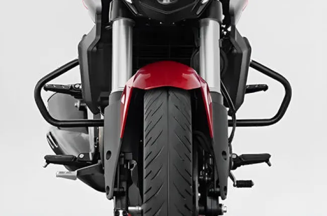 Dominar 250 Leg Guard
