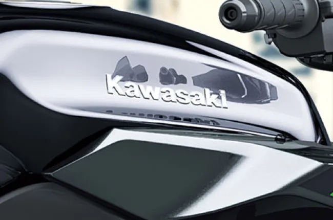 Ninja 1100SX Brand Badge