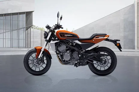 Side Profile View (Left)