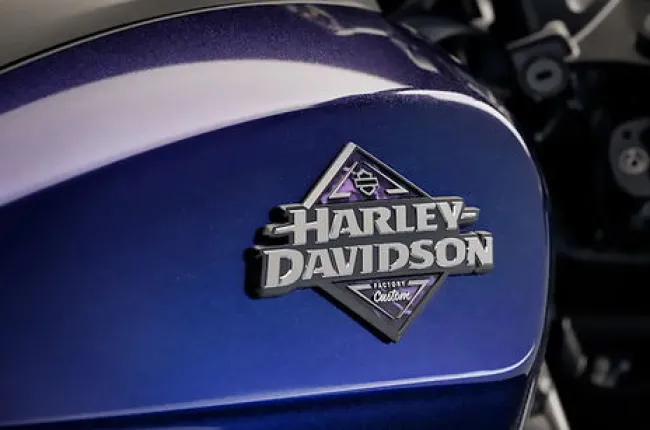 Sportster S Brand Badge