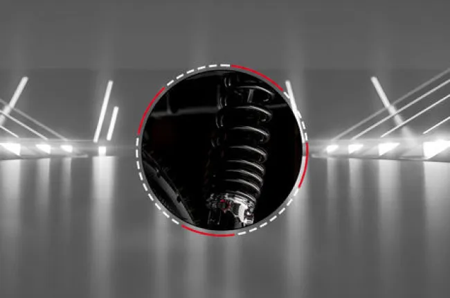 Flex Rear Suspension