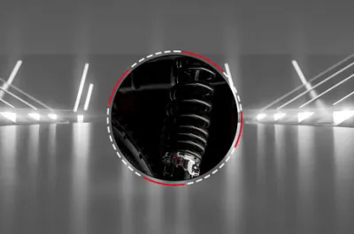 Flex Rear Suspension