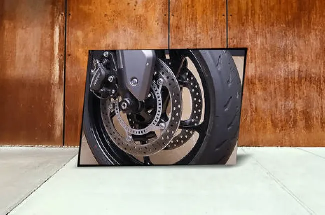 Tiger Sport 660 Front Brake