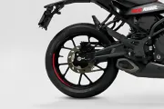 RR 300 Rear Wheel