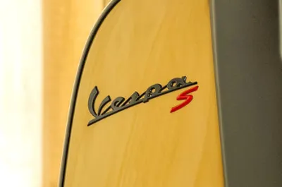 S Model Badge