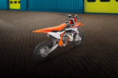 65 SX