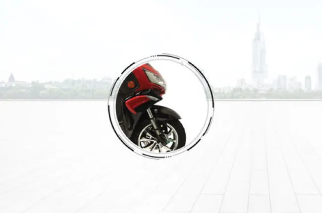 PraisePro Front Brake
