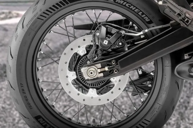 390 SMC R Rear Brake