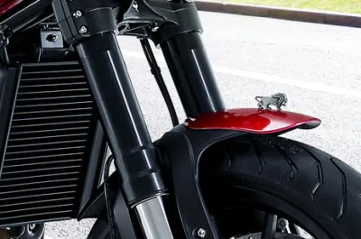 Leoncino 500 Front Mudguard