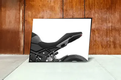 Tiger Sport 660 Seat