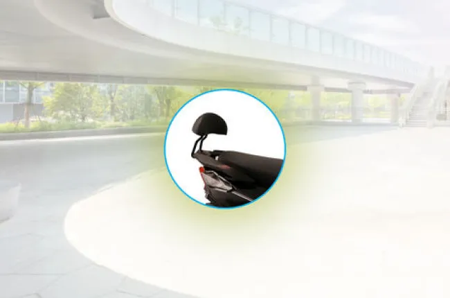 Gen Next Nanu Pillion Backrest