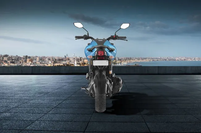 FZ-FI Version 3.0 Rear View