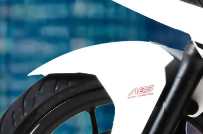 Pulsar RS200 Front Mudguard