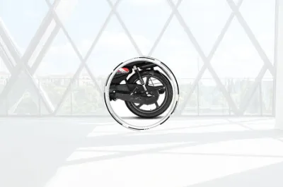 HF 100 Rear Brake