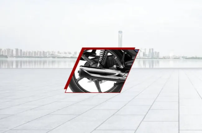Shine Exhaust (Endcan)