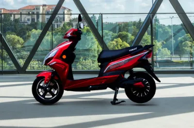 SE Side Profile View (Left)