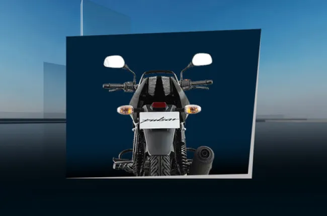 Pulsar 150 Handle Bar View