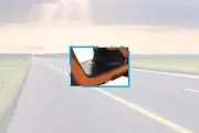 Image not available