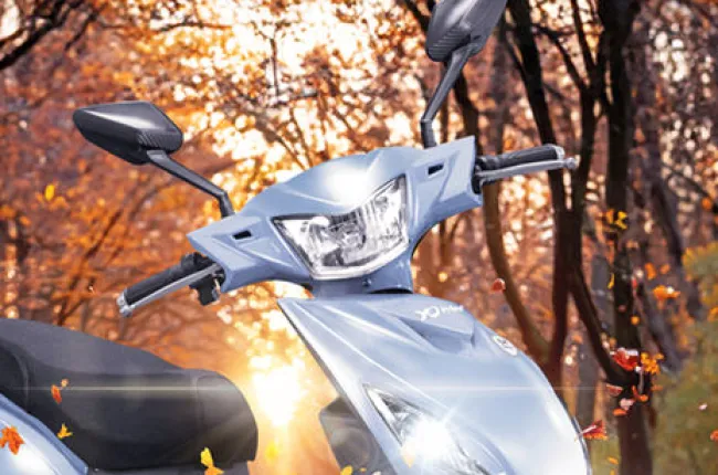 Edge DX Head Light