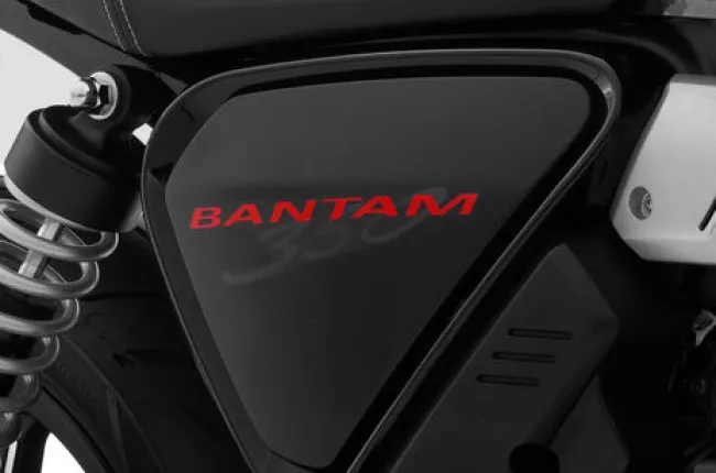 Bantam 350 Central Panel