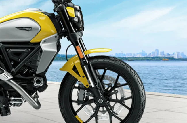 Scrambler 800 Front Mudguard