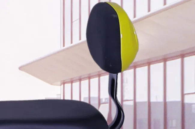Dual 100 Pillion Backrest