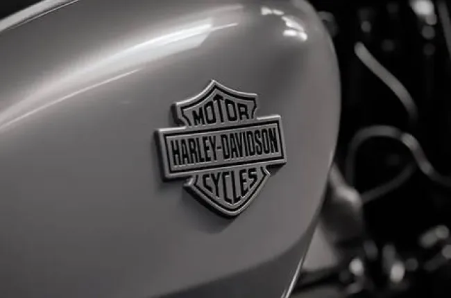 Nightster Brand Badge