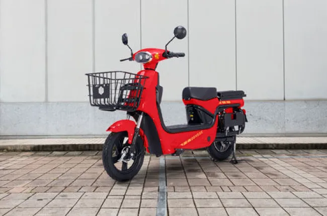 Trot Front Left Quarter View
