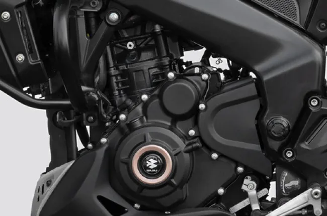 Dominar 400 Engine (Left)