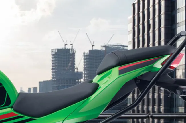 Ninja 300 Seat