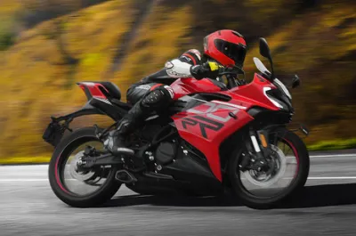 RR 300 Riding: Side Profile (Right) View