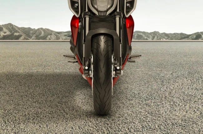 Diavel V4 Leg Guard