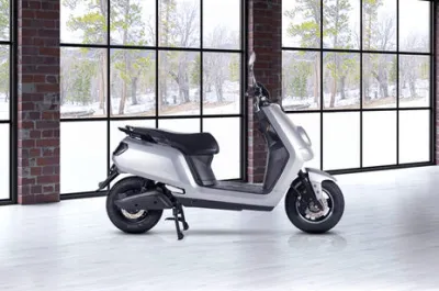Glob Side Profile View (Right)