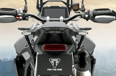 Tiger 900 Indicator (Rear)