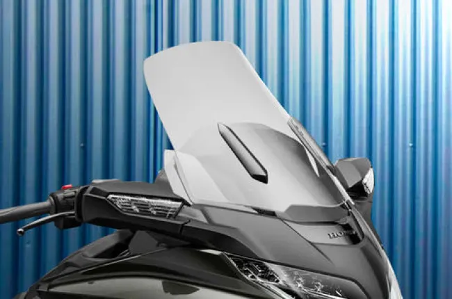 Gold Wing Windshield View