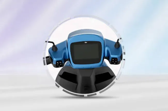S1 Pro Instrument Cluster