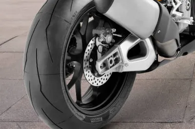 RSV4 Rear Brake