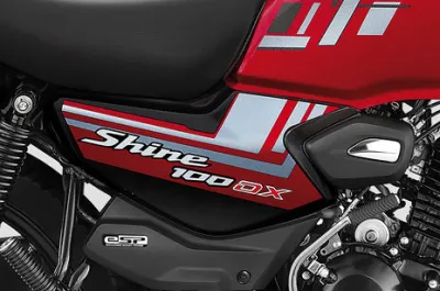 Shine 100 DX Central Panel